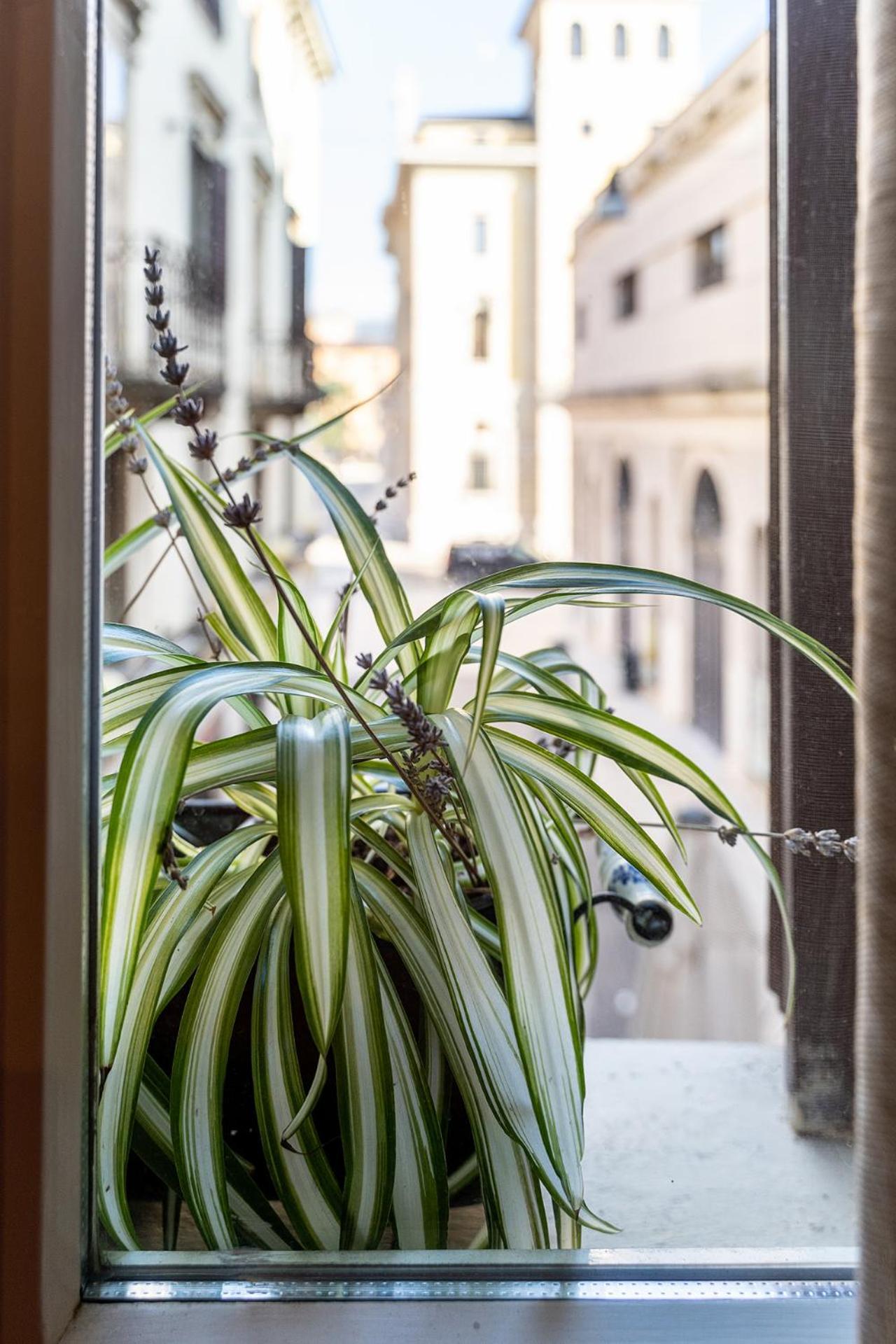 Dependance Cara Giulietta Apartman Verona Kültér fotó
